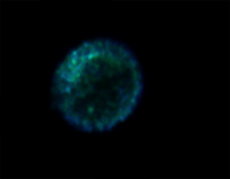 Illustration for article titled This Supernova Remnant Is a Festive Holiday Bauble